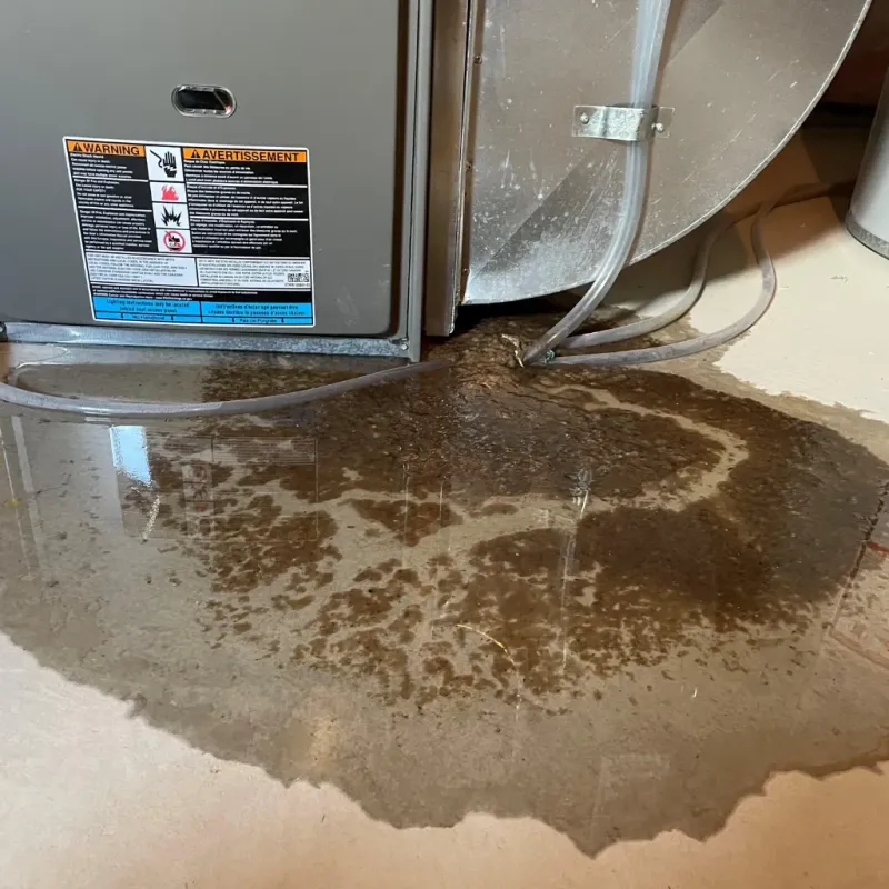 Appliance Leak Cleanup in Hawaii County, HI