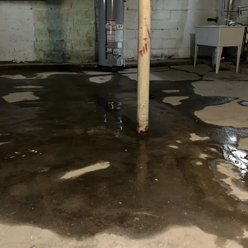 Emergency Water Extraction And Removal in Hawaii County, HI